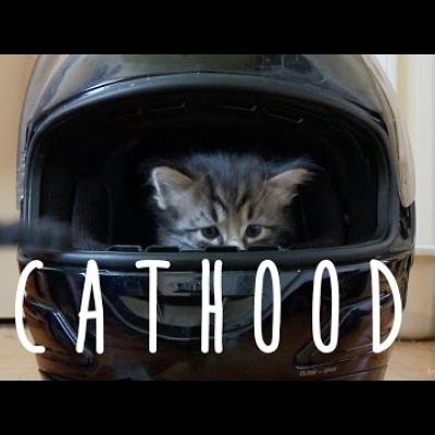 Διασκεδαστική παρωδία του «Boyhood» με γάτες