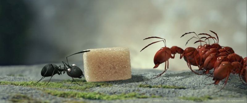 Τοσοδούλικα: Η κοιλάδα των χαμένων μυρμηγκιών