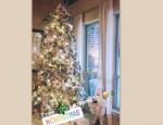 Εντυπωσιακό το χριστουγεννιάτικο δέντρο γνωστής Ελληνίδας τραγουδίστριας