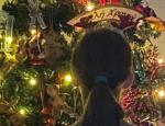 Τα Χριστούγεννα ήρθαν για γνωστή δημοσιογράφο - Στόλισε το δέντρο της