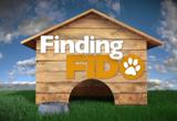 FINDING FIDO 2