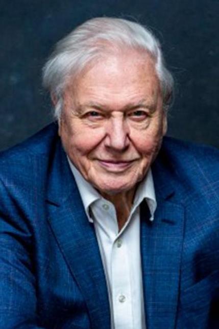 Ντέιβιντ Ατένμπορο