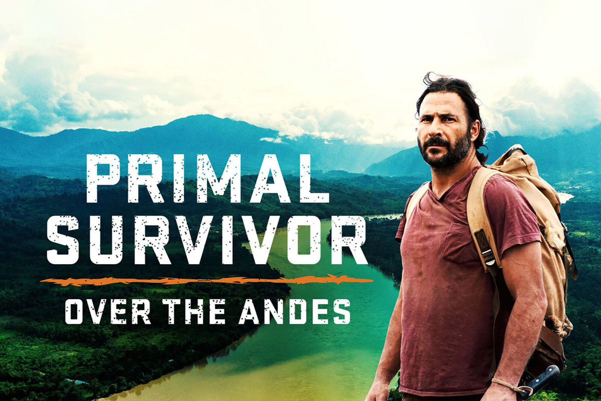 Άγρια Ζούγκλα