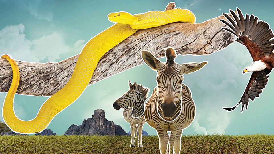 Κόγκελμπεργκ - Πηγή προς τη Θάλασσα