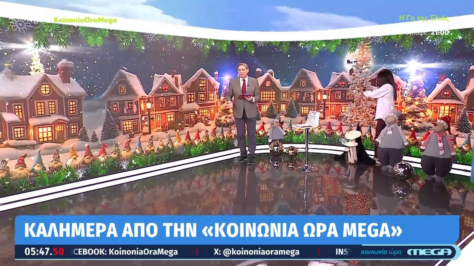 Ανθή Βούλγαρη: «Εκεί ήταν το δέντρο;»