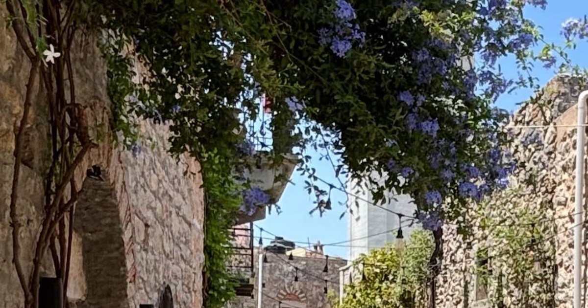 Σοφία Αλιμπέρτη: 