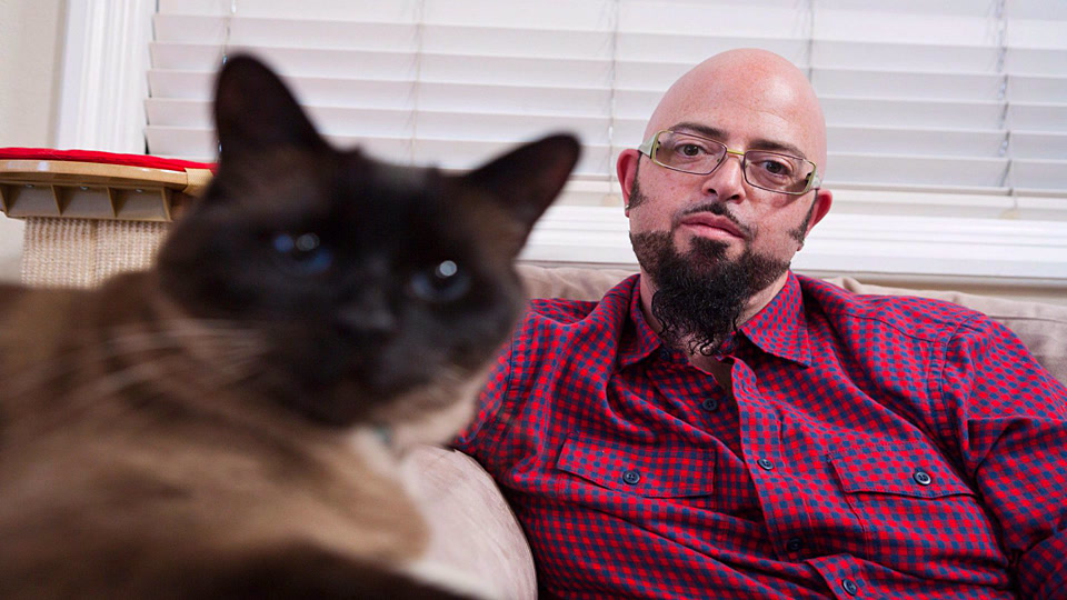 Γατοκαβγάδες