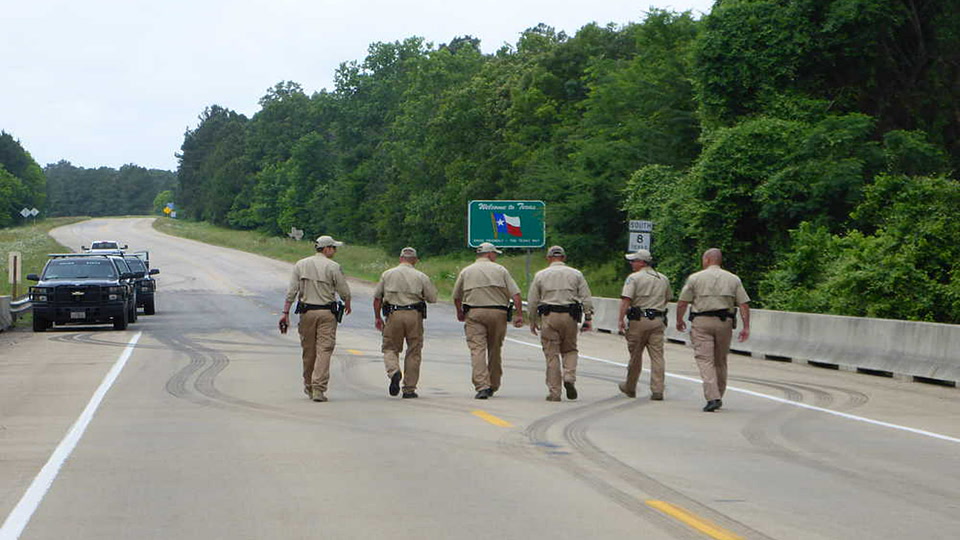 Διασώσεις Αγριας Ζωής