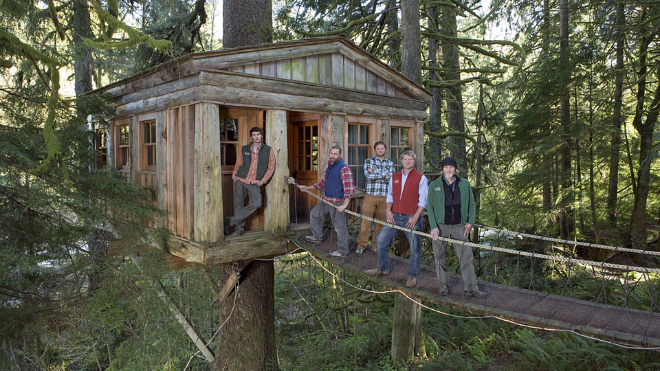 Ζεν Δεντρόσπιτο