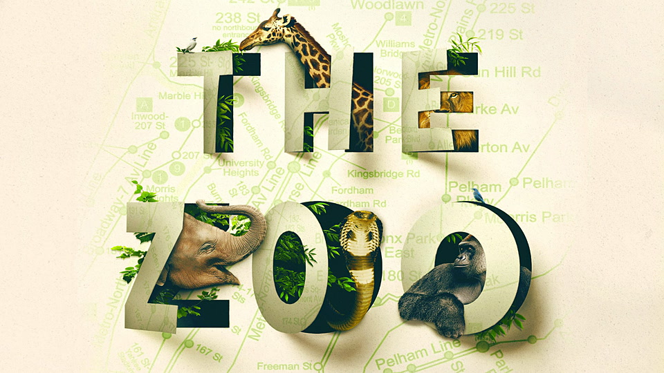 Γουάλαμπι στην Πόλη